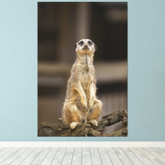 Toile Poster Meerkat (Insitu (Plancher de Bois))