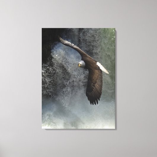 Toile Poster photo de Bald Eagle Raptor Wild Animal (Recto)