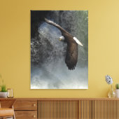 Toile Poster photo de Bald Eagle Raptor Wild Animal (Insitu(Salon))