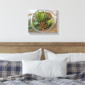 Toile Poster Succulent du Terrarium par Debra Lee Baldwi (Insitu(Chambre))