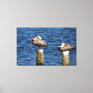 Toile Posts de pélicans Brown