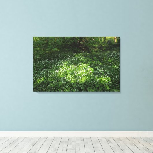 Toile Pot d'ail (Insitu (Plancher de Bois))