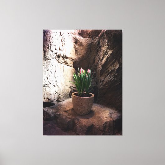 Toile Pot de tulipes dans une Grotte (Recto)