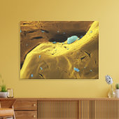 Toile Poudre d'urée (Insitu(Salon))