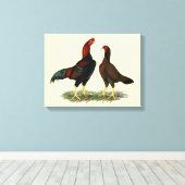 Toile Poules Aseel Black Red (Insitu (Plancher de Bois))