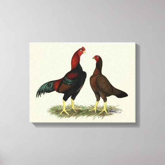 Toile Poules Aseel Black Red (Recto)