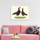 Toile Poules Aseel Black Red (Insitu(Salon))