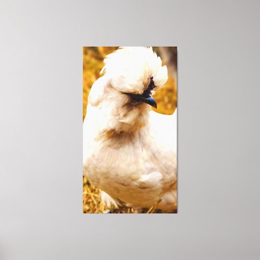 Toile Poulet Blanc Fluffy dans un Champ (Recto)