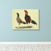 Toile Poulets Aseel Wheaten (Insitu (Plancher de Bois))