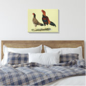 Toile Poulets Aseel Wheaten (Insitu(Chambre))