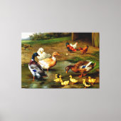 Toile Poulets, Canards Et Canards À La Ferme (Recto)