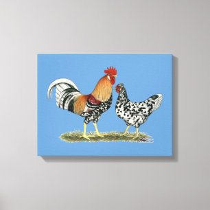 Toile Poulets islandais