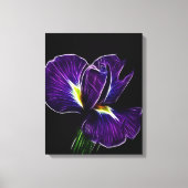 Toile pourpre Iris (Recto)