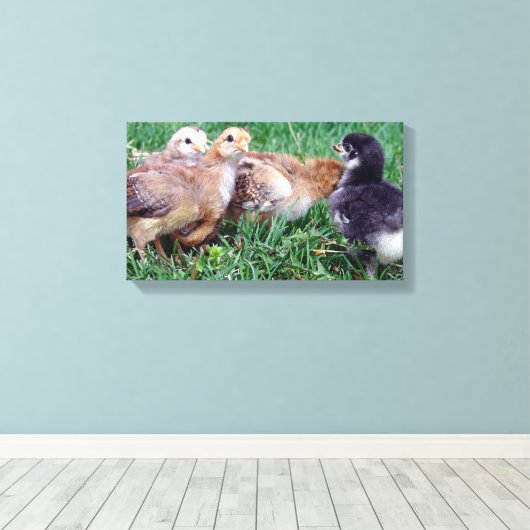 Toile Poussins (Insitu (Plancher de Bois))
