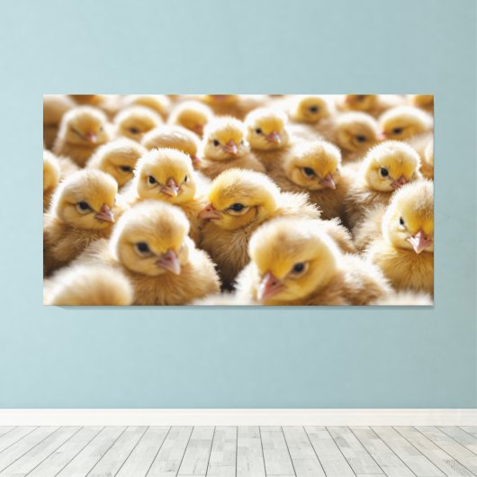 Toile Poussins jaunes rassemblés en grand nombre (Insitu (Plancher de Bois))