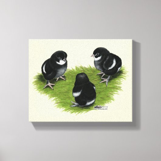Toile Poussins Marans Noir Cuivré (Recto)
