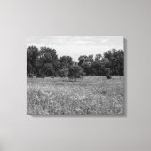 Toile Prairie encore, ciel nuageux (Recto)