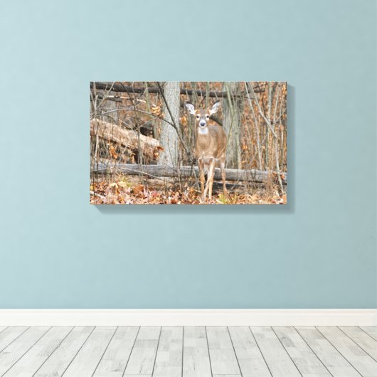 Toile Précieux (Insitu (Plancher de Bois))