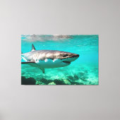 Toile Predator tropical : Grand requin blanc (Recto)