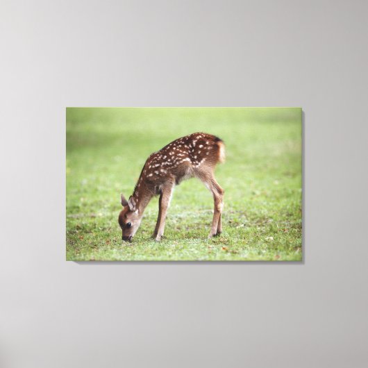 Toile Préfecture de Nara, Honshu, Japon 3 (Recto)