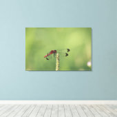 Toile Préfecture de Yamanashi, Honshu, Japon (Insitu (Plancher de Bois))