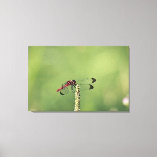 Toile Préfecture de Yamanashi, Honshu, Japon (Recto)