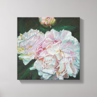 Premières éclosions 2012