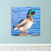 Toile Prévenir Mallard (Insitu (Plancher de Bois))