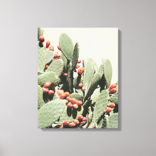Toile Prickley Pear Cactus (Recto)