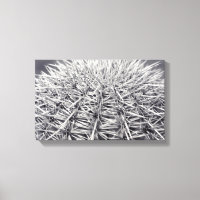 Pricks Cactus Sonoran Desert B&W Photo Art Imprime