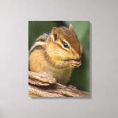 Toile Prière Chipmunk (Recto)