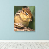 Toile Prière Chipmunk (Insitu (Plancher de Bois))
