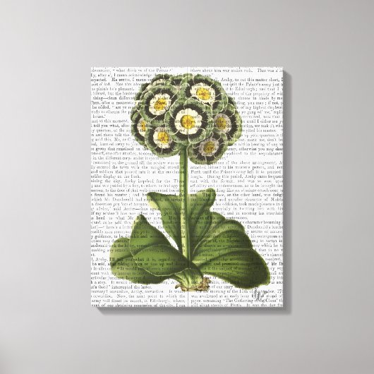 Toile Primula Auraria Bleu (Recto)