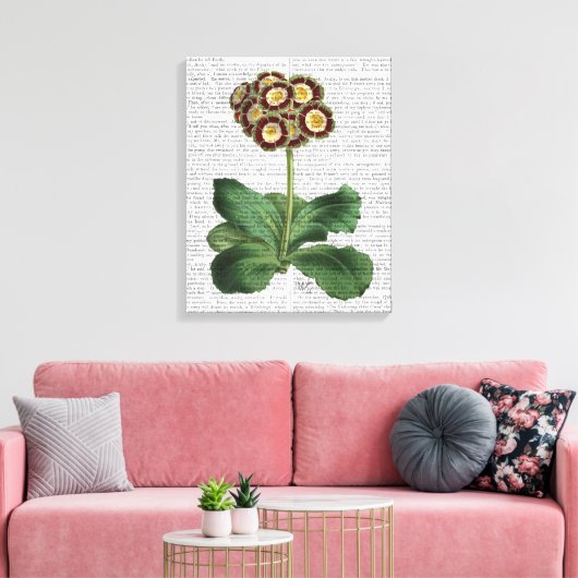 Toile Primula Aurium Rouge (Insitu(Salon))