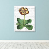 Toile Primula Aurium Rouge (Insitu (Plancher de Bois))