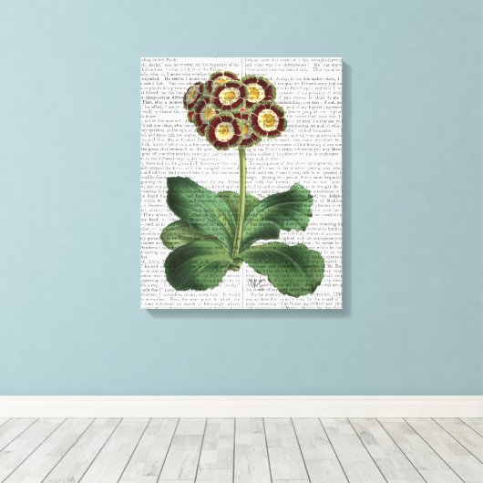 Toile Primula Aurium Rouge (Insitu (Plancher de Bois))