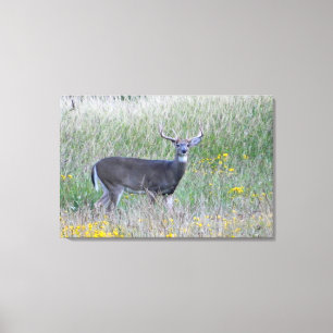 Toile Prince of the Meadow (Cerf) Imprimer
