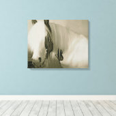 Toile Princesse (Insitu (Plancher de Bois))
