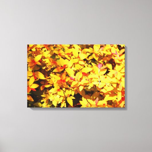 Toile Printemps à l'Arboretum 6 (Recto)