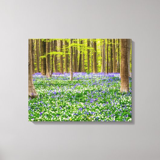 Toile Printemps dans la forêt bleue (Recto)