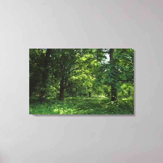 Toile Printemps dans les bois 01 (Recto)