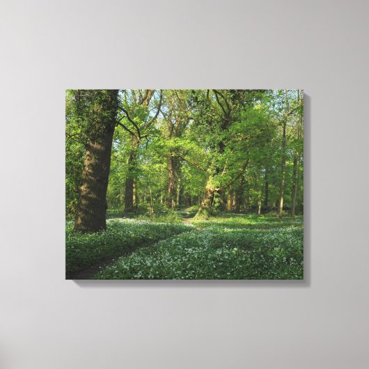 Toile Printemps dans les Bois, Bute Park, Cardiff (Recto)