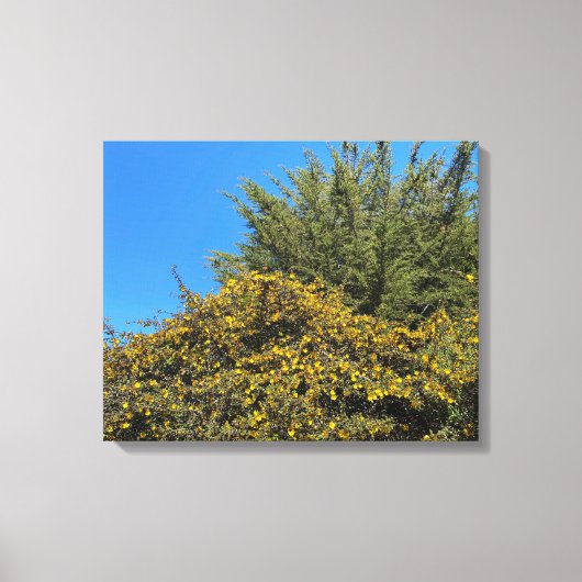 Toile Printemps de Californie (Recto)