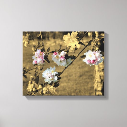 Toile Printemps En Couleur Partielle Sepia (Recto)