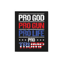 Pro God Pro Gun Anti-avortement Pro Trump Election