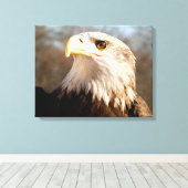 Toile Profil d'aigle à tête blanche (Insitu (Plancher de Bois))