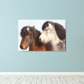 Toile Profil de cheval islandais, Islande (Insitu (Plancher de Bois))