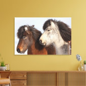 Toile Profil de cheval islandais, Islande (Insitu(Salon))