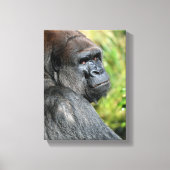 Toile Profil de Gorilla (Recto)