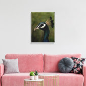 Toile Profil de Peacock (Insitu(Salon))